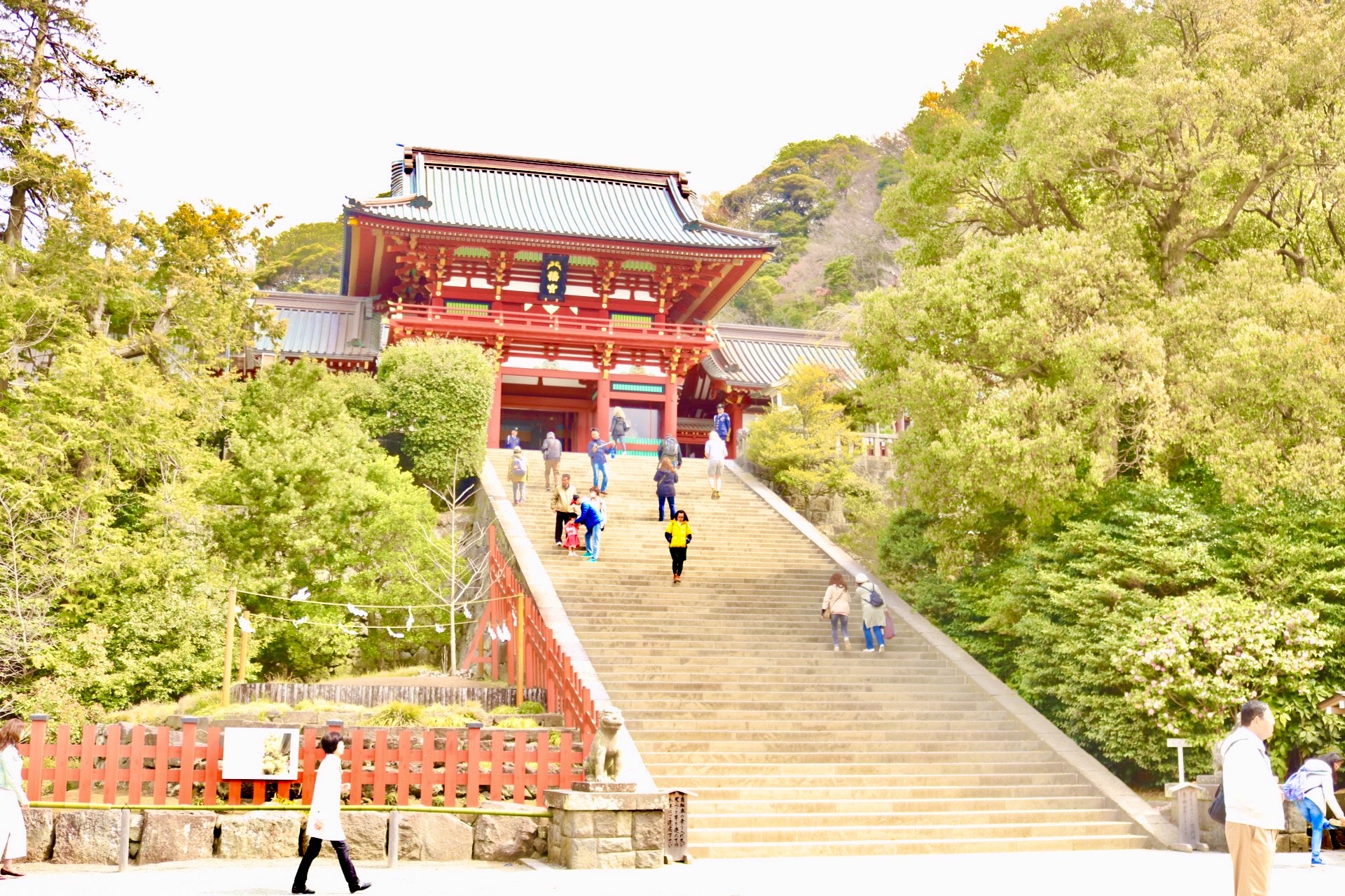 鎌倉史跡 鶴岡八幡宮 株式会社大好き湘南不動産