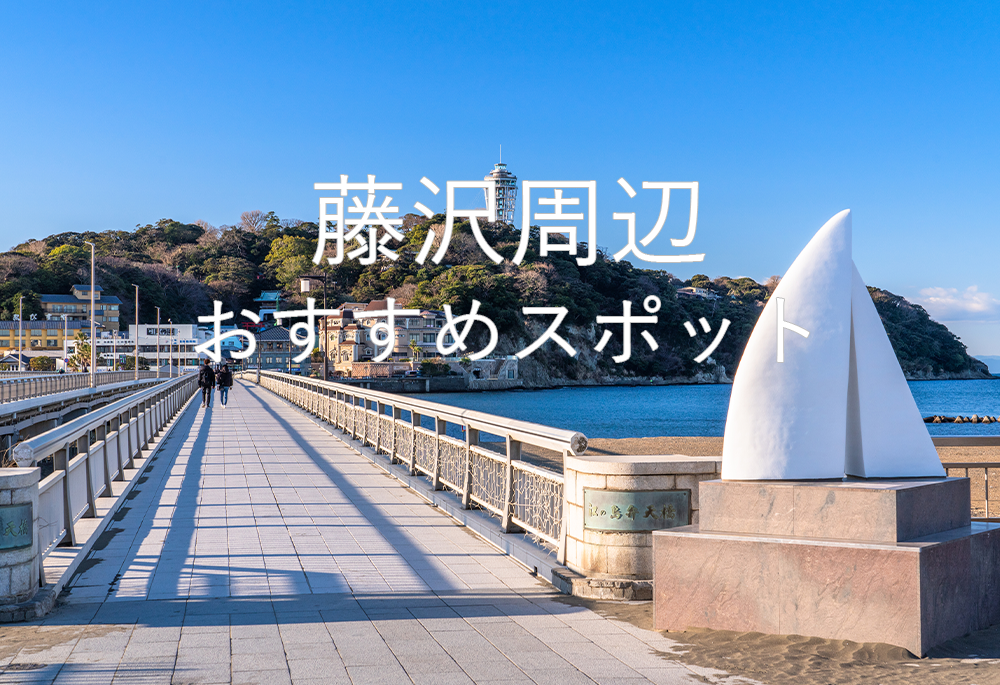 藤沢周辺のおすすめスポット
